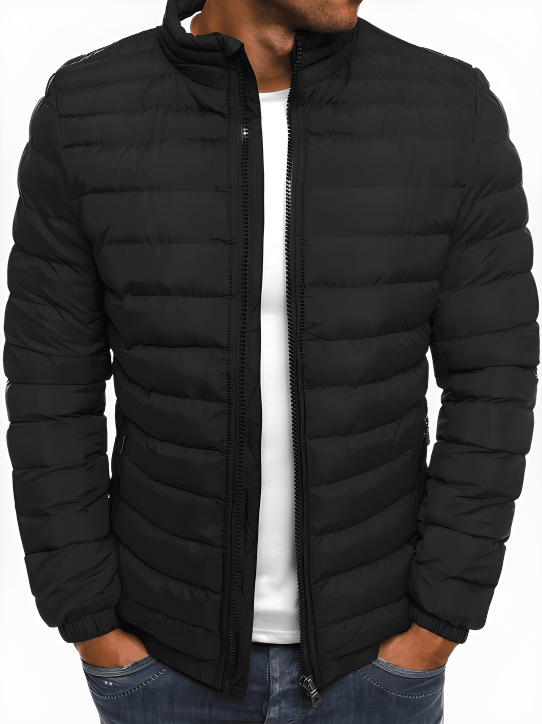 Herren Steppjacke im Übergangsstil mit Steppnähten - schwarz