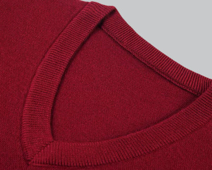 Pullover Herren mit V-Ausschnitt Regular Fit