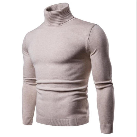 Herren Rollkragenpullover im Winterlook - beige
