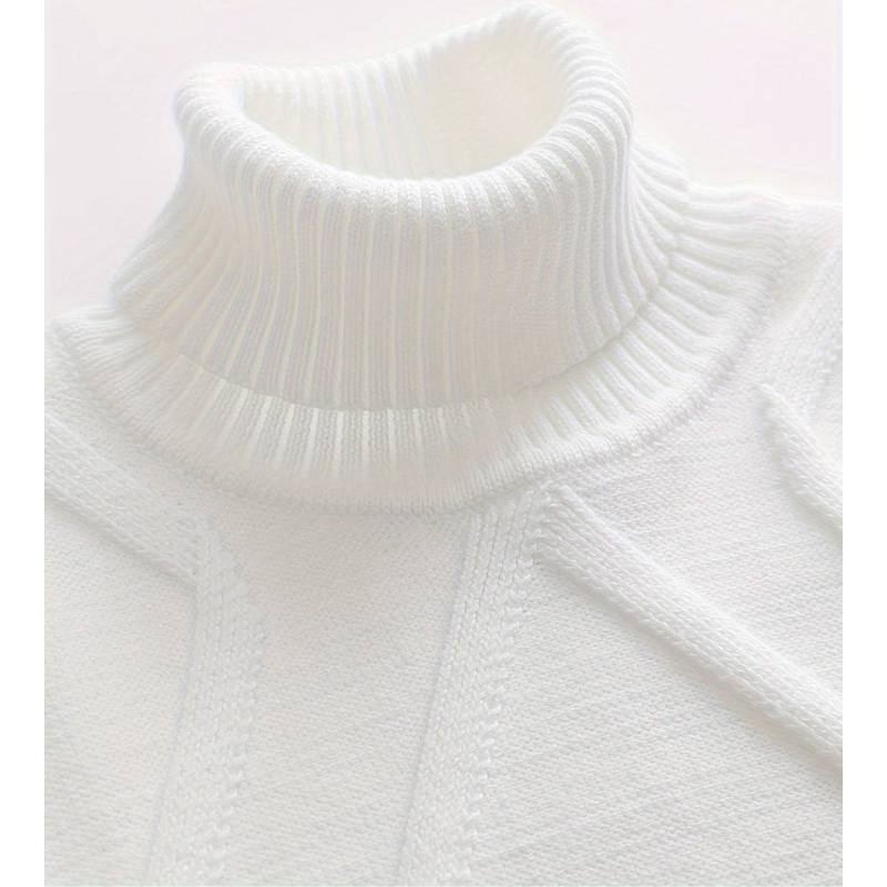 Herren Rollkragenpullover mit Rippstruktur